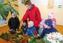  Осенний праздник «День Урожая» прошел в д. Борки (фото)