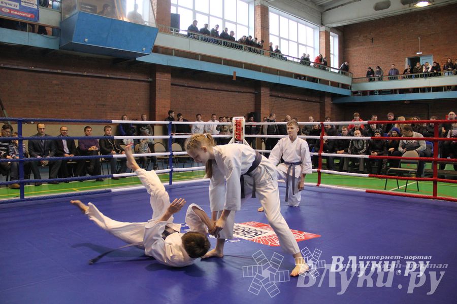 В Великих Луках прошел межрегиональный Открытый Кубок по смешанному боевому единоборству (фото)
