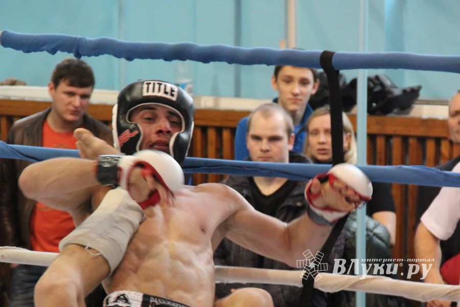 Открытый Кубок города Великие Луки по смешанному боевому единоборству (ММА)