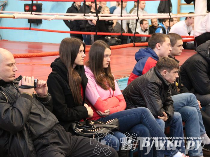 Первенство Псковской области по самбо