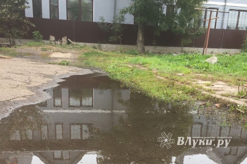 В Великих Луках забил «гейзер», по словам коммунальщиков, «рядовая ситуация» (ФОТО+ЗВУК)