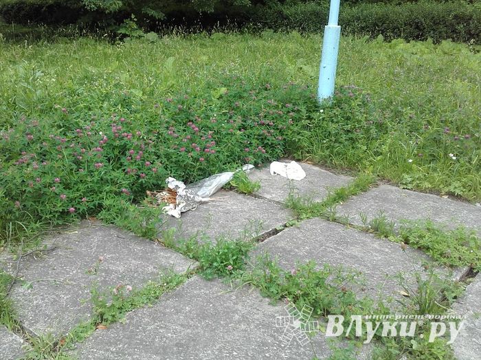 В Великих Луках не потрудились скосить траву возле мемориала (ФОТО)