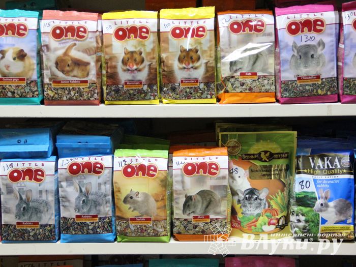 «Zooбастики»: подарите праздник своим любимцам! (ФОТО+ВИДЕО)