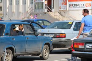 Фотоконкурс "КрасиваЯ!". Вручение призов