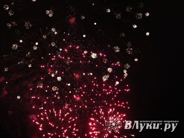 В Великих Луках зажглась новогодная ёлка (ФОТО)