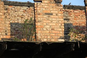 Фотофакт: Горелые сараи в центре Великих Лук превращаются в свалку (фото)