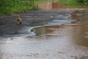 Серьёзная авария на водопроводе в Великих Луках (ФОТО; ВИДЕО)