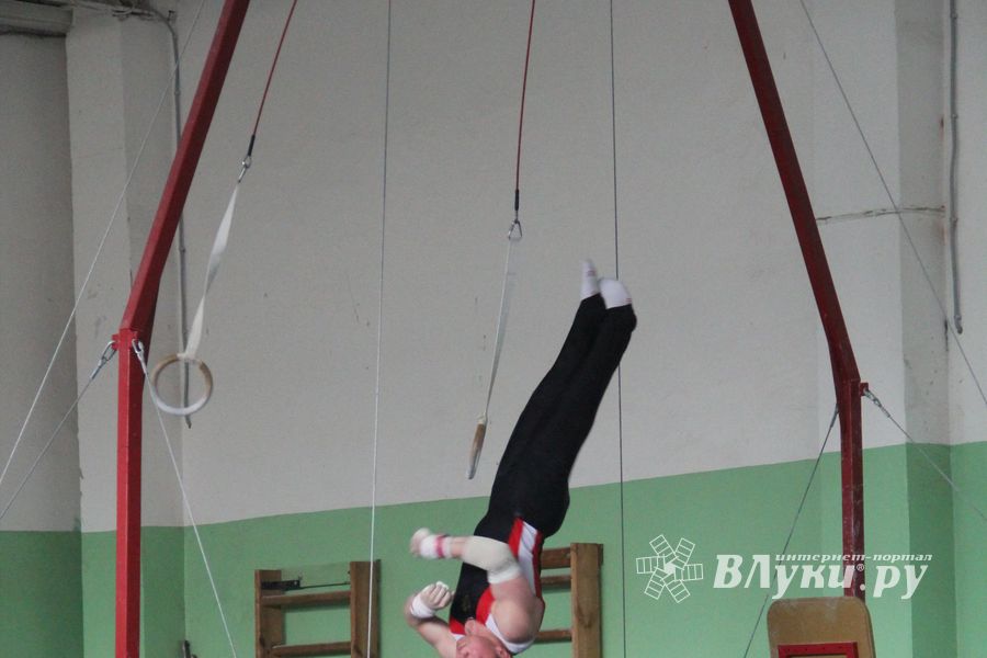 В Великих Луках прошел турнир по спортивной гимнастике (фото)