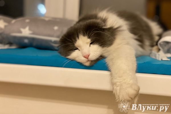 Прогноз погоды на 13 ноября в Великих Луках