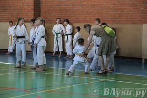 Турнир по каратэ