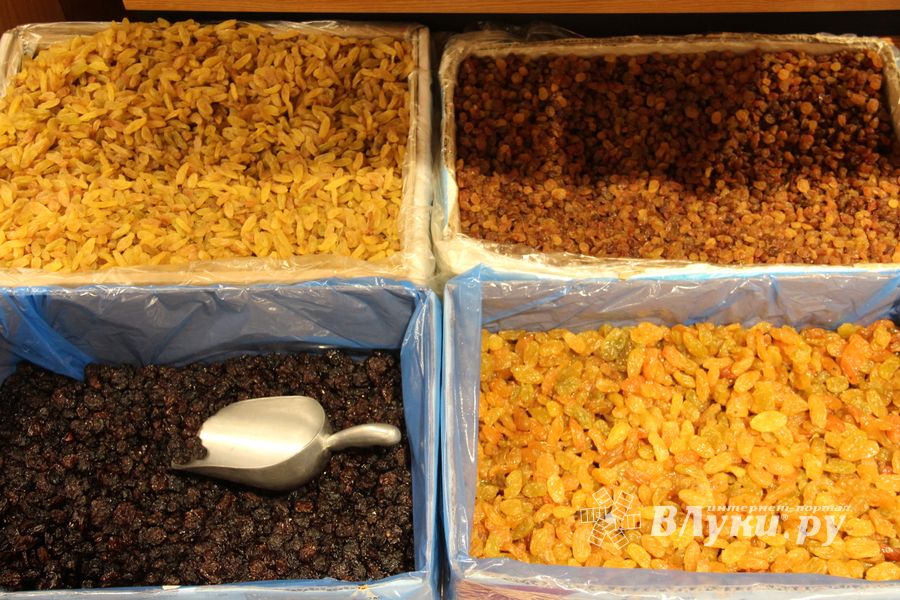 Такой рыбы нигде больше нет (ФОТО)