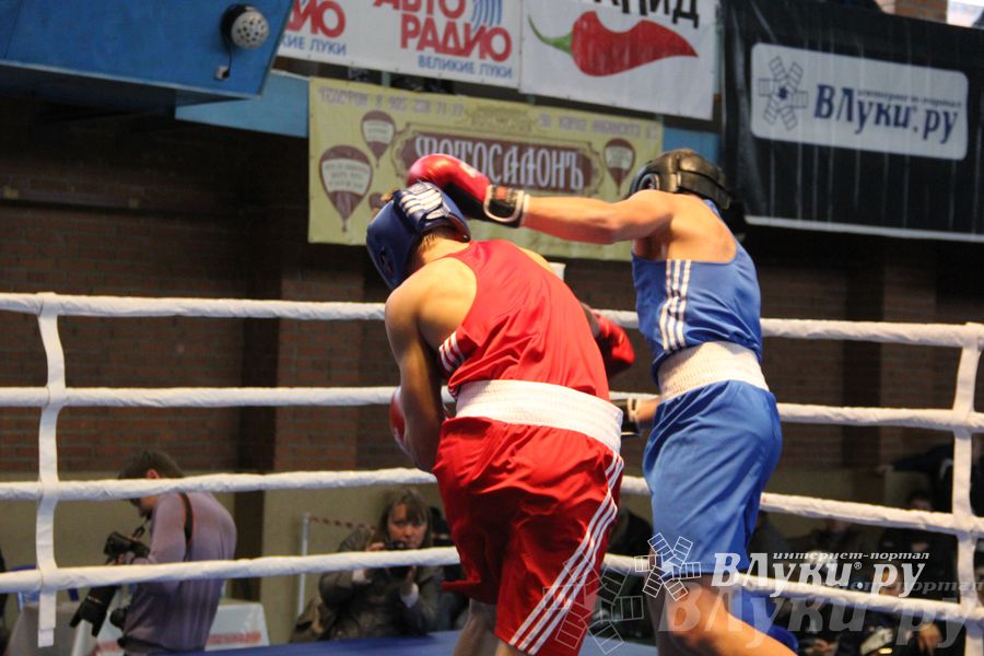 16-й Международный турнир по боксу (фото)