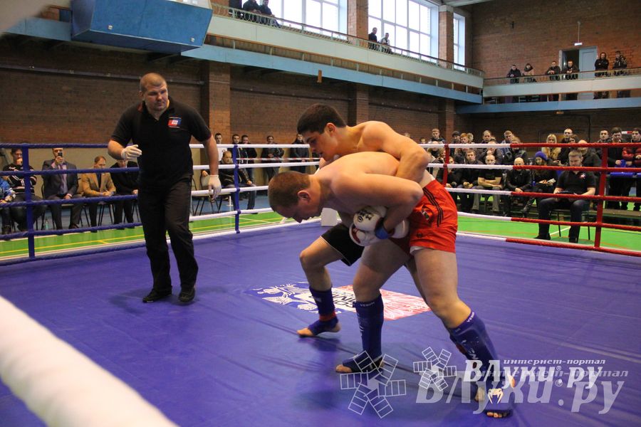 В Великих Луках прошел межрегиональный Открытый Кубок по смешанному боевому единоборству (фото)