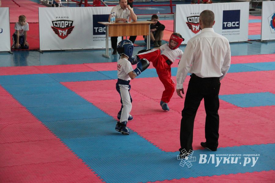В Великих Луках прошел Кубок области по кикбоксингу (ФОТО)