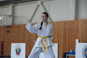 В Великих Луках состоялся Чемпионат и первенство Псковской области по тхэквондо МФТ (ФОТО)