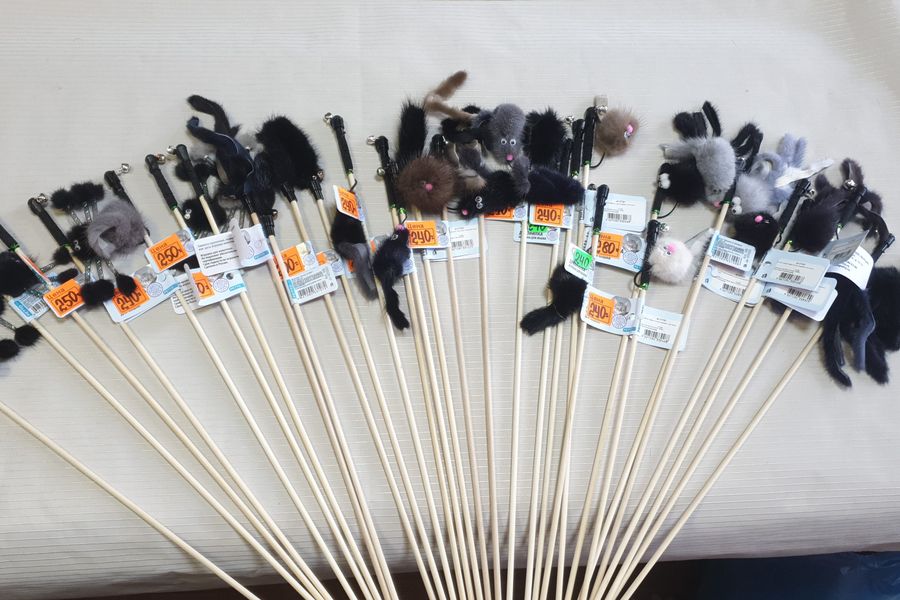 1 марта - ваш кот заслуживает подарок