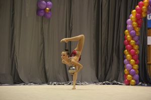 В Великих Луках завершился первый день соревнований Открытого Первенства города по художественной гимнастике (ФОТО) (0+))