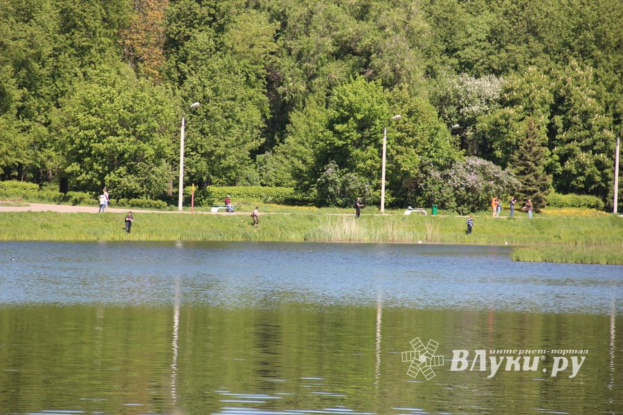 В Великих Луках состоялся Чемпионат города по ловле рыбы спиннингом (ФОТО)