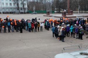 Сегодня над Великими Луками летели шары