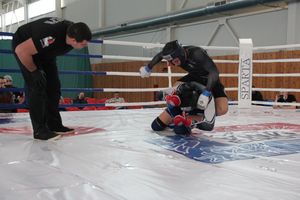 В Великих Луках завершился открытый кубок по смешанному боевому единоборству ММА (ФОТО)