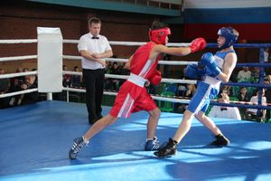 В Великих Луках прошел турнир по боксу памяти Е. Клевцова (ФОТО)