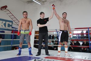 В Великих Луках прошел Чемпионат области по смешанному боевому единоборству (фото)