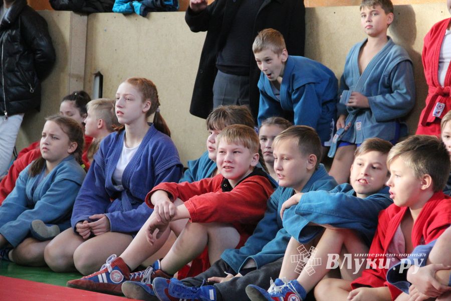 Великолучане завоевали награды турнира по самбо «Память» (ФОТО)