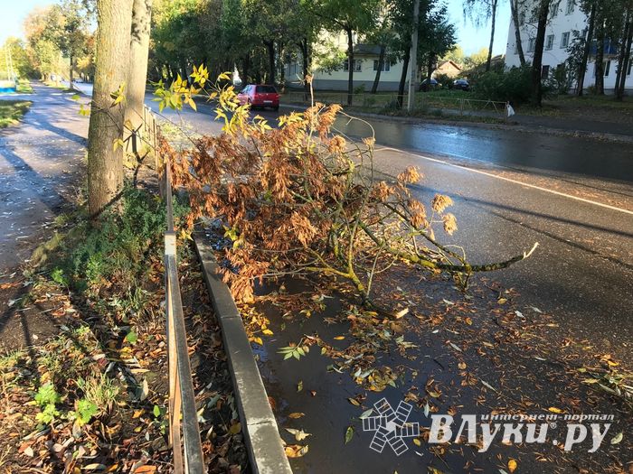 В Великих Луках стихия наломала немало (ФОТО)
