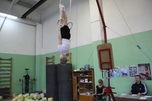 В Великих Луках прошло Первенство города по спортивной гимнастике (фото)