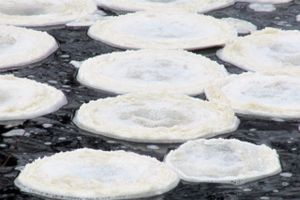 Удивительное природное явление в Великих Луках (ФОТО)