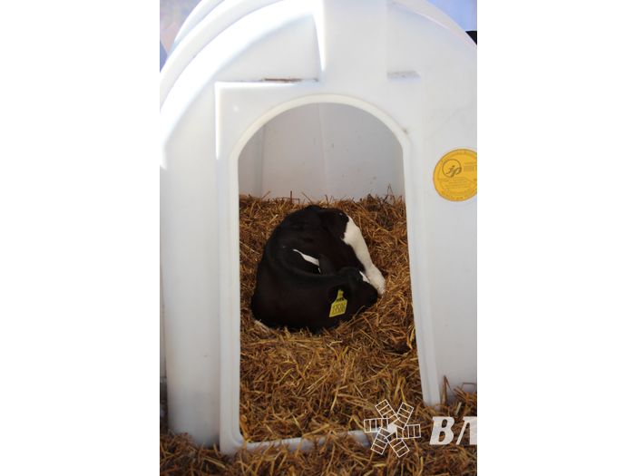 Торговая ярмарка «Осень-2016» прошла в Великих Луках (ФОТО)