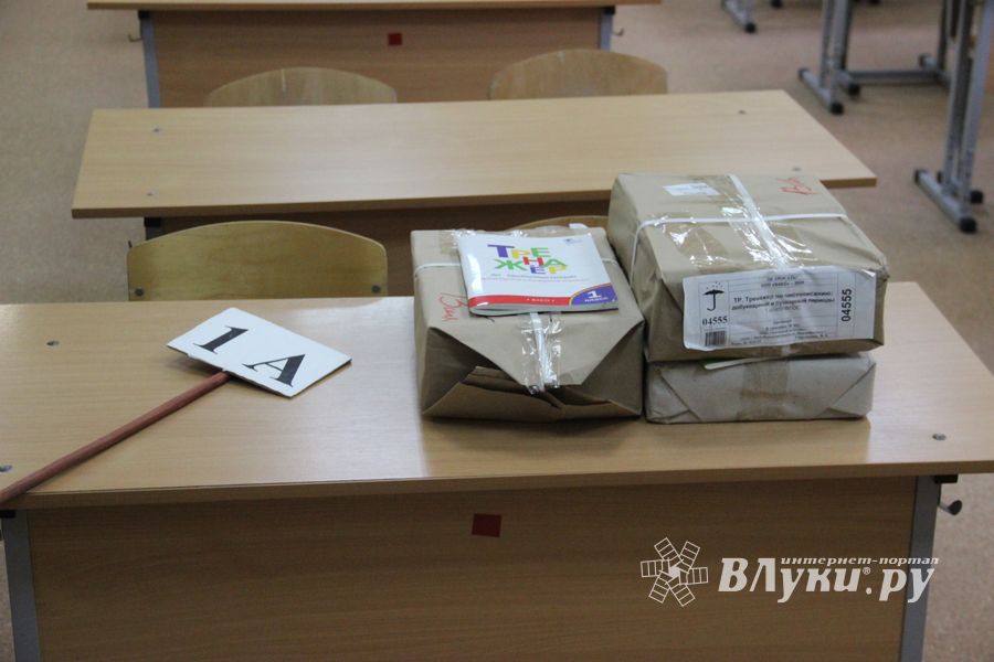 Великолукские школы готовы к атаке COVID-19