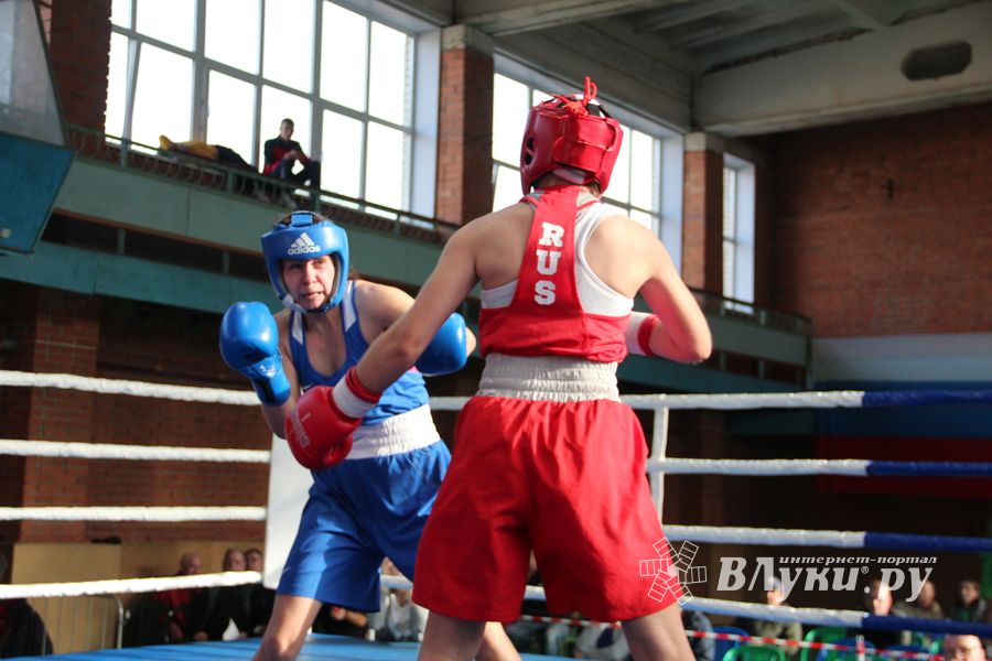 В Великих Луках прошел турнир по боксу памяти Е. Клевцова (ФОТО)