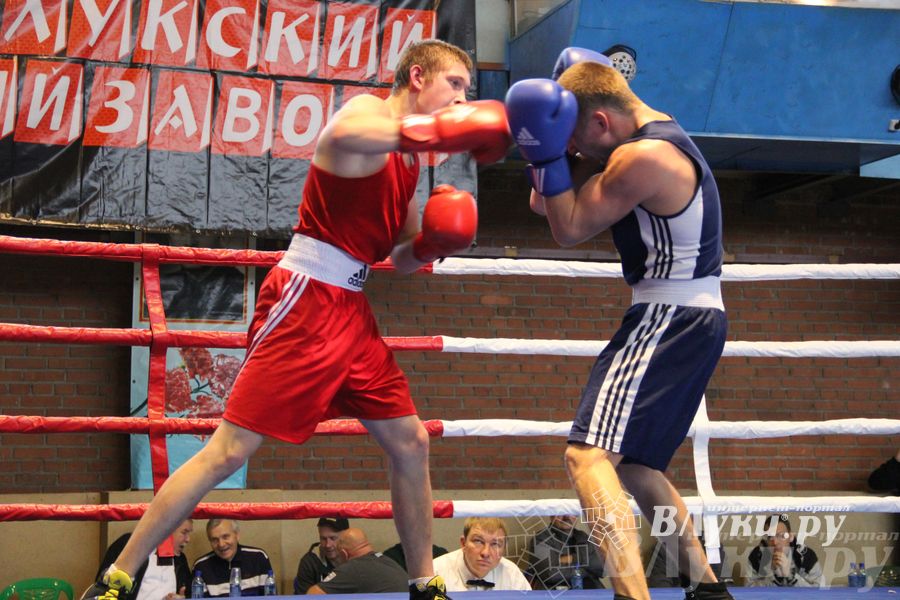 16-й Международный турнир по боксу (фото)