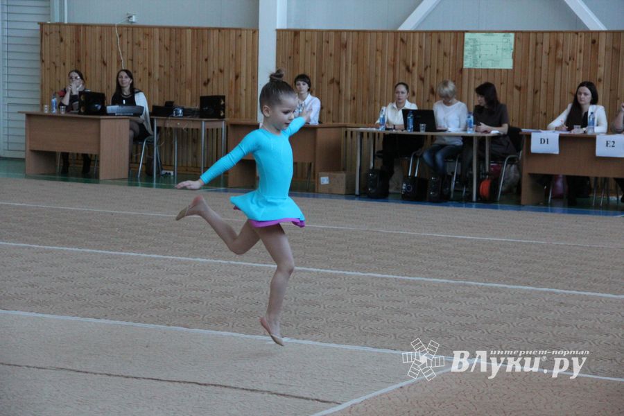 В Великих Луках прошло Открытое первенство города по художественной гимнастике (фото)