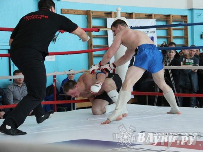 Чемпионат Псковской области по ММА