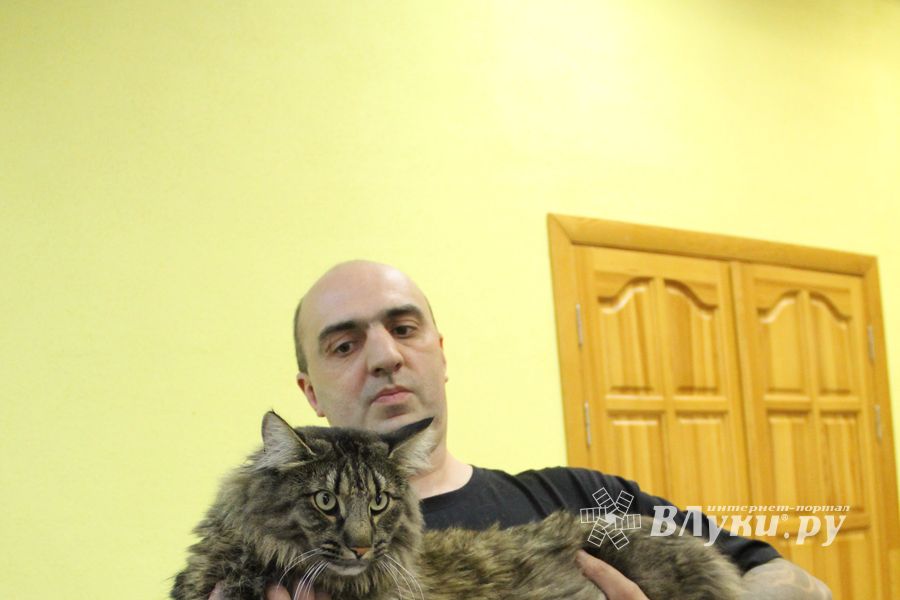 В Великих Луках прошла выставка кошек (фото)