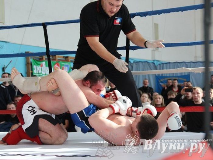 Чемпионат Псковской области по ММА