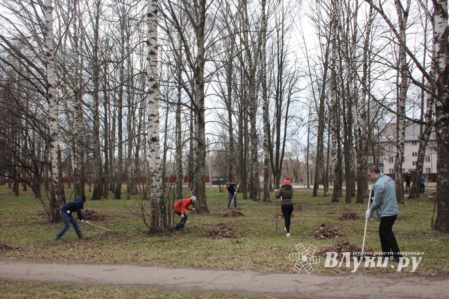Городские СМИ провели субботник (ФОТО)