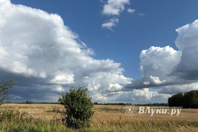 ВЛуки.ру