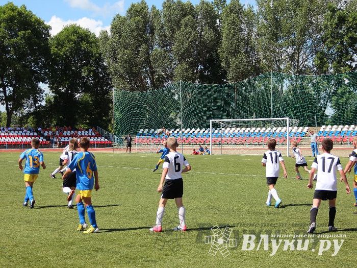 «Локобол-2013»: Великие Луки-Кировск