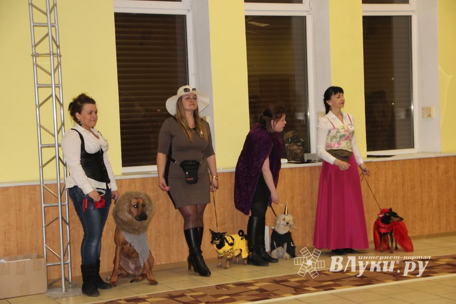 Всероссийская выставка собак в Великих Луках (фото)