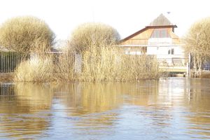 В Великих Луках продолжаются поиски мужчины, пропавшего 9 марта (ФОТО)