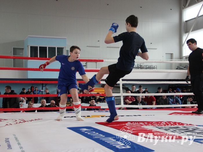 Открытый кубок по смешанному боевому единоборству ММА прошел в Великих Луках (ФОТО)