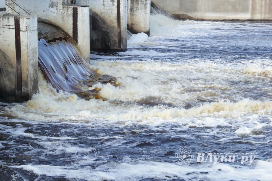 В Великих Луках обнаружили тело мужчины, который утонул 21 августа (ФОТО)