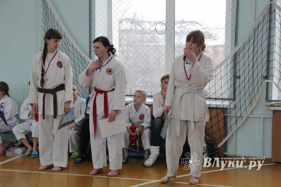 В Великих Луках прошел  турнир по Шотокан каратэ