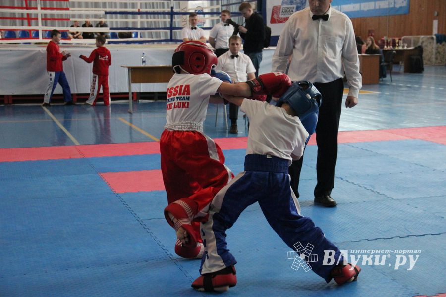 В Великих Луках проходит Кубок по кикбоксингу (ФОТО) (0+)