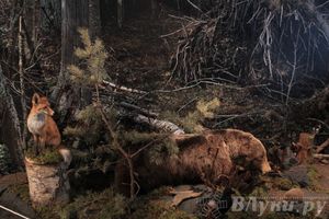 Обзор выставок Краеведческого музея