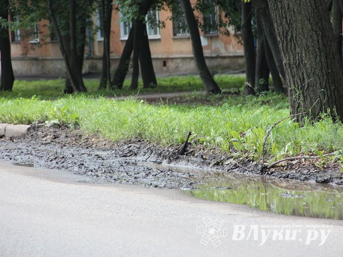 Великие Луки после дождичка в четверг (ФОТО)