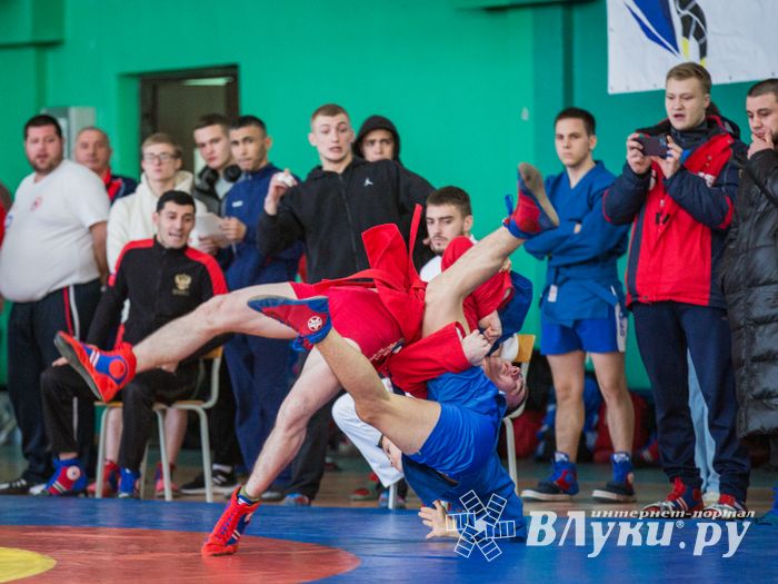 Фото: Александр Воробьев Великолучане завоевали награды Всероссийских соревнований по самбо